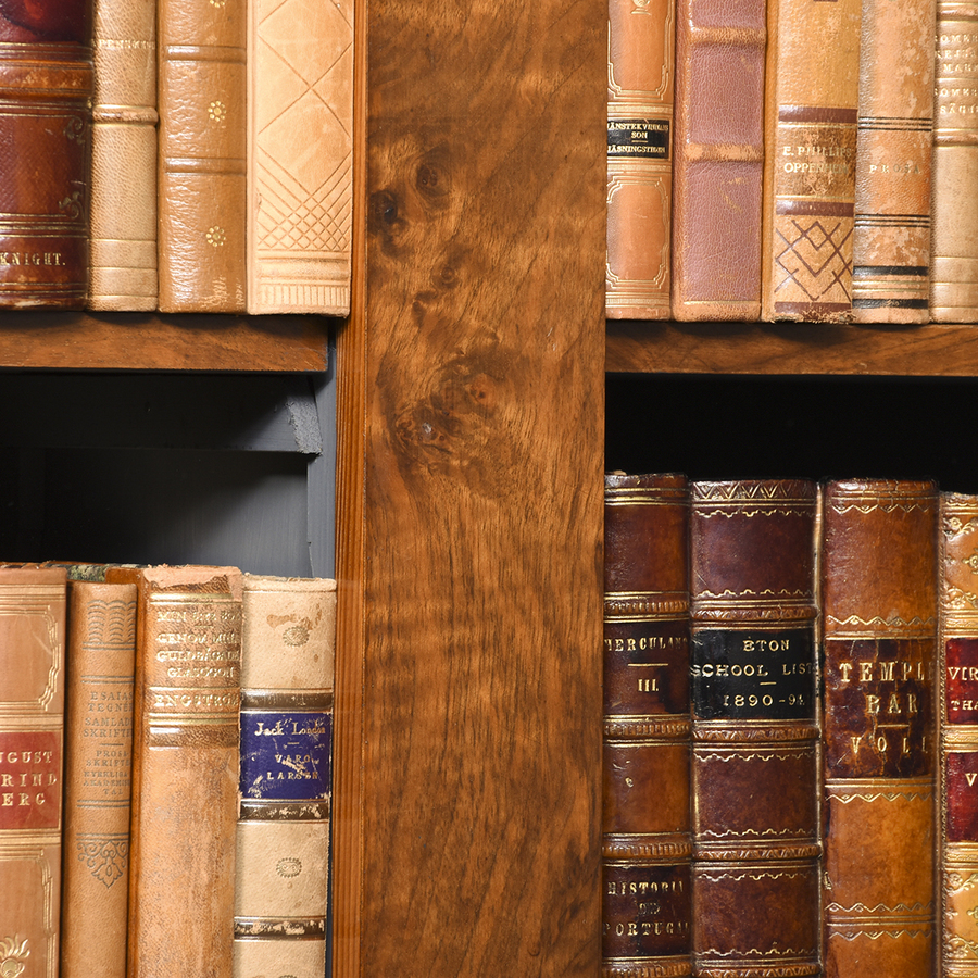 Antique Burr Walnut Tall 19th Century Open Bookcase
