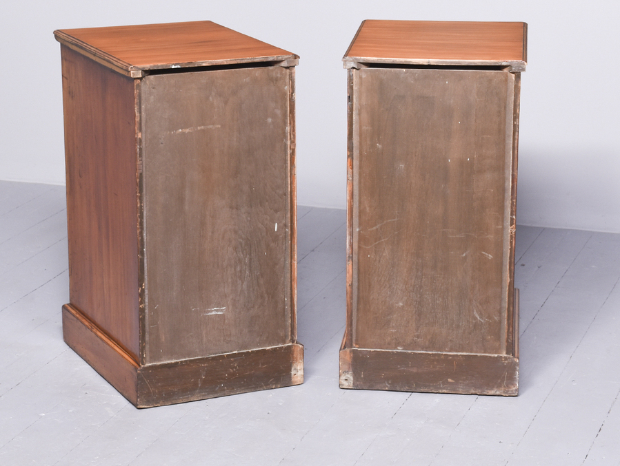Antique Pair of Pedestal Bedside Cabinets