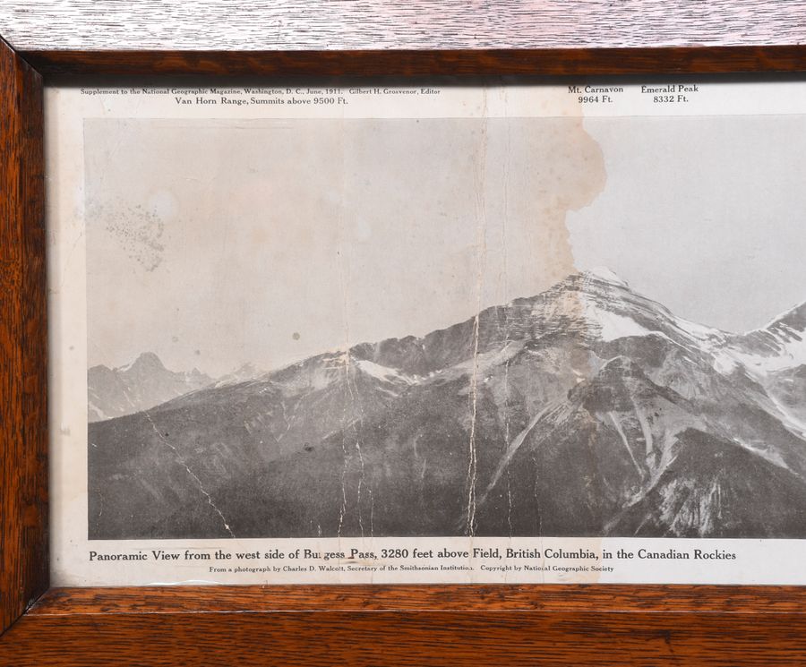 Antique Massive Oak Framed Photograph of Canadian Mountains