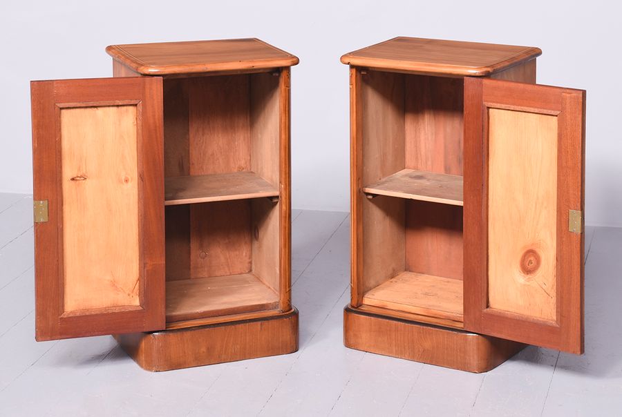 Antique Pair of Victorian Bedside Cabinets