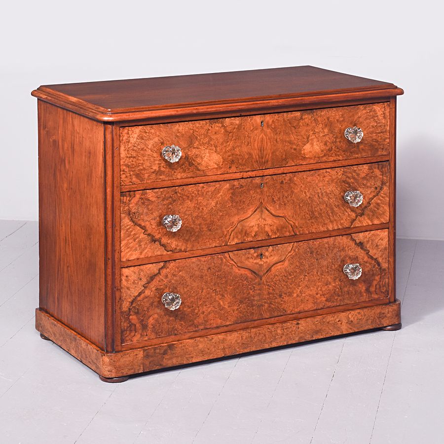 Superb Quality Neat-Sized Victorian Burr Walnut Chest of Drawers