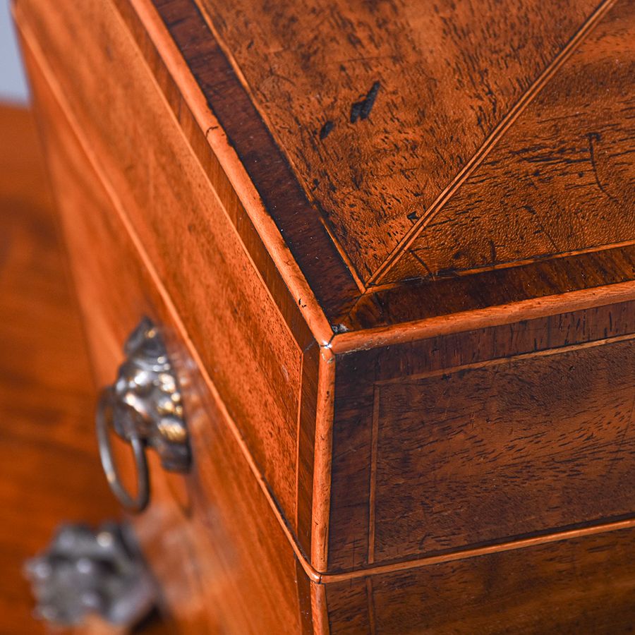 Antique Regency Sarcophagus Shaped Tea Caddy
