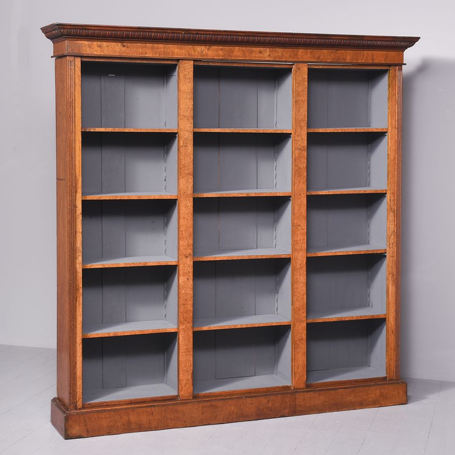 Antique Victorian Burr Walnut and Pollard Oak Tall Open Bookcase 