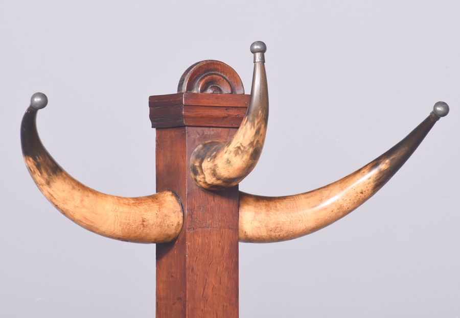 Antique Decorative and Rare Victorian Cow Horn (Bos Taurus) Coat Stand