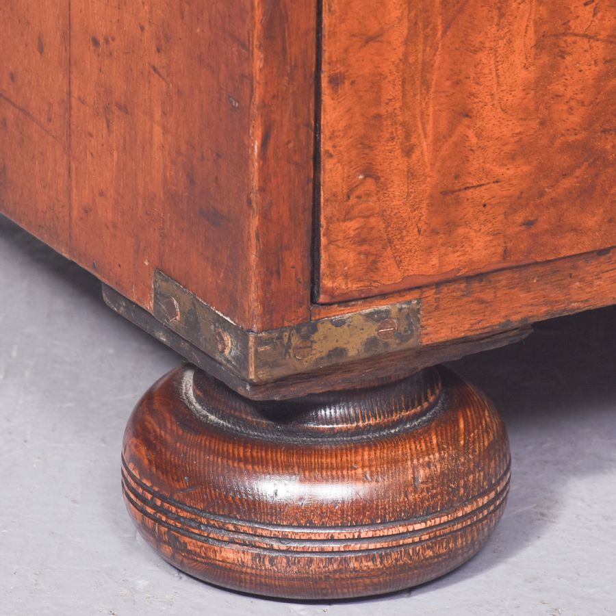 Antique Exceptional Victorian Burr Walnut and Teak Antique Military Secretaire Chest