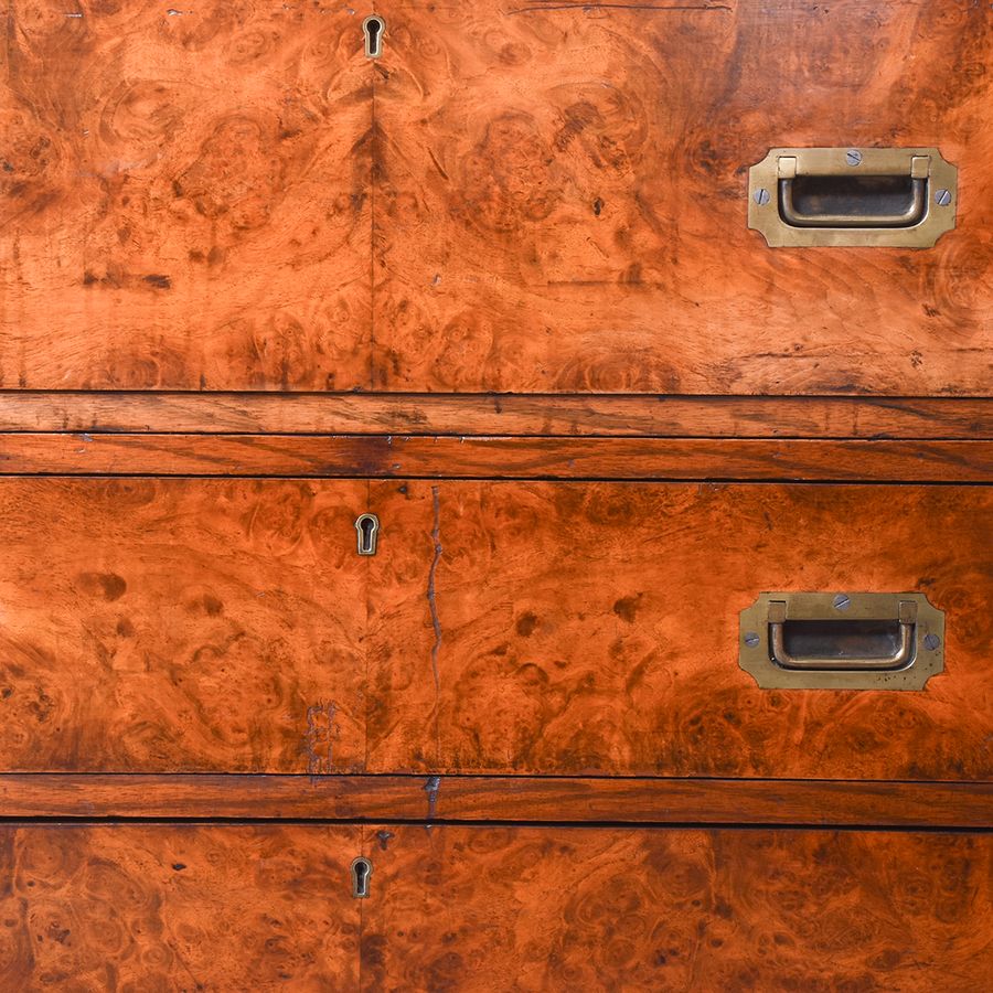 Antique Exceptional Victorian Burr Walnut and Teak Antique Military Secretaire Chest