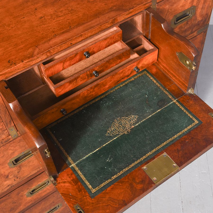 Antique Exceptional Victorian Burr Walnut and Teak Antique Military Secretaire Chest