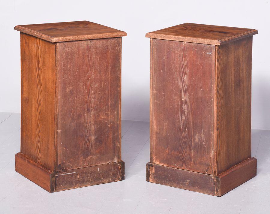 Antique Rare Pair of Late Victorian Figured Elm and Ash Chest of Drawers/Bedside Lockers