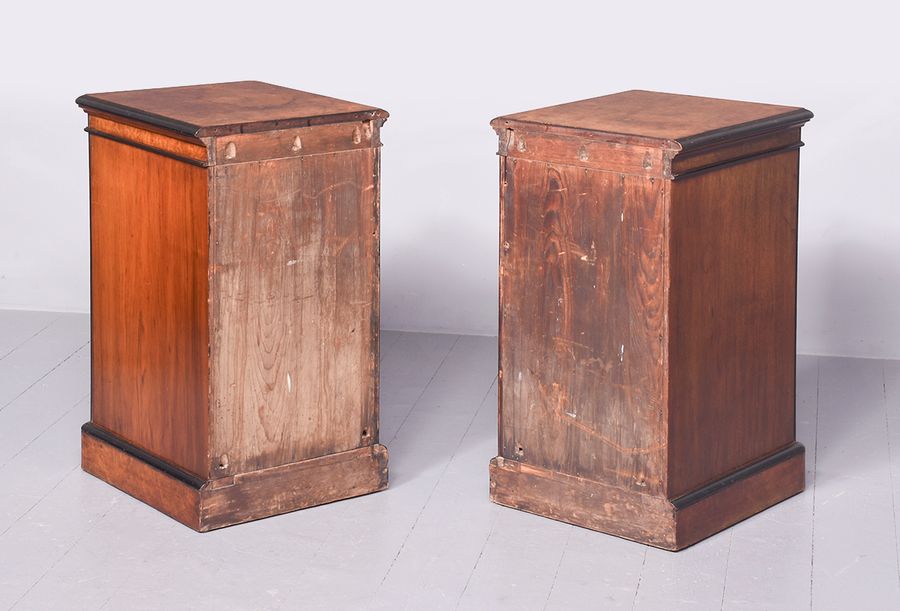 Antique Unusual Pair of Victorian Burr Walnut and Ebonized Neat-Sized Chest of Drawers/Bedside Lockers 