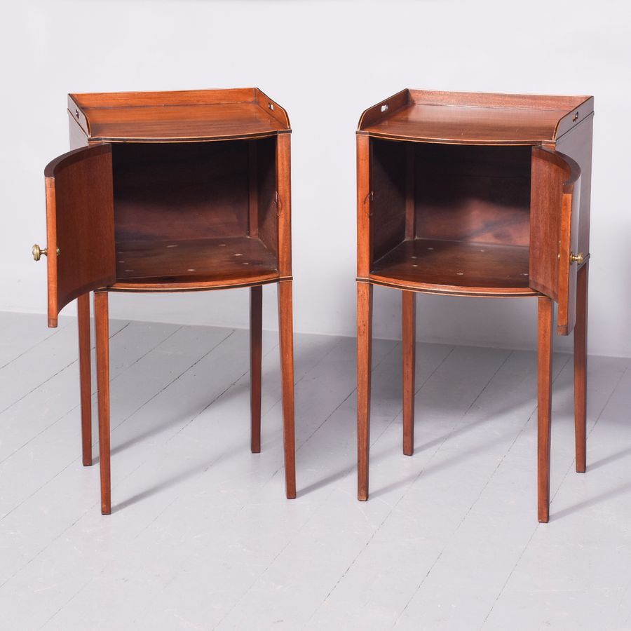 Antique A Rare Pair of George III Mahogany and Inlaid Bedside Cabinets