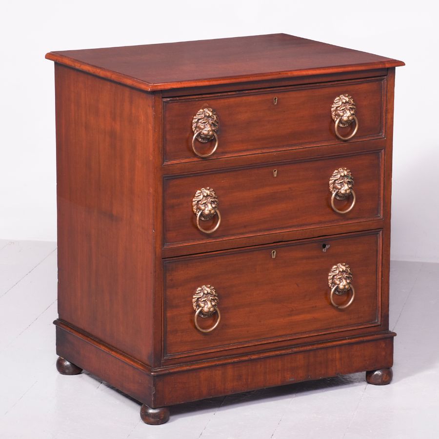 William IV Neat-Sized Mahogany Cellarette in The Form of a Chest of Drawers