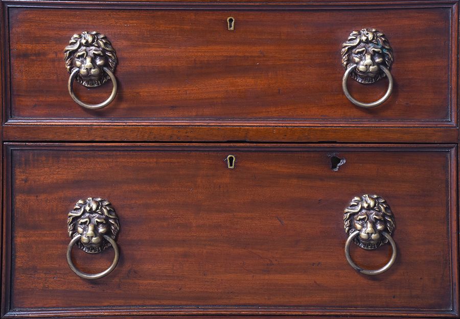 Antique William IV Neat-Sized Mahogany Cellarette in The Form of a Chest of Drawers