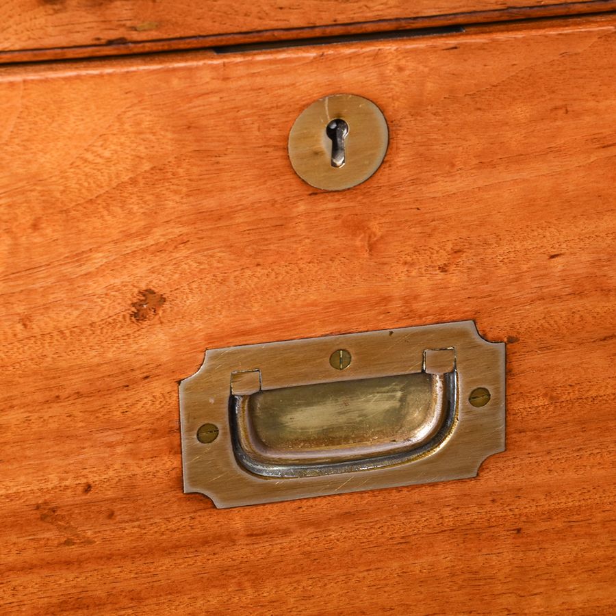 Antique A Solid Camphour Wood and Brass Bound Campaign Chest