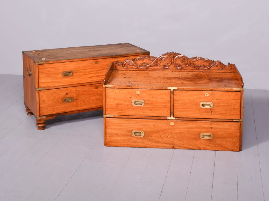 Antique A Solid Camphour Wood and Brass Bound Campaign Chest