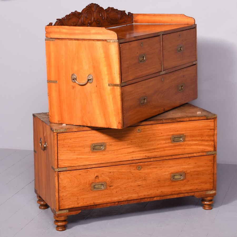 Antique A Solid Camphour Wood and Brass Bound Campaign Chest