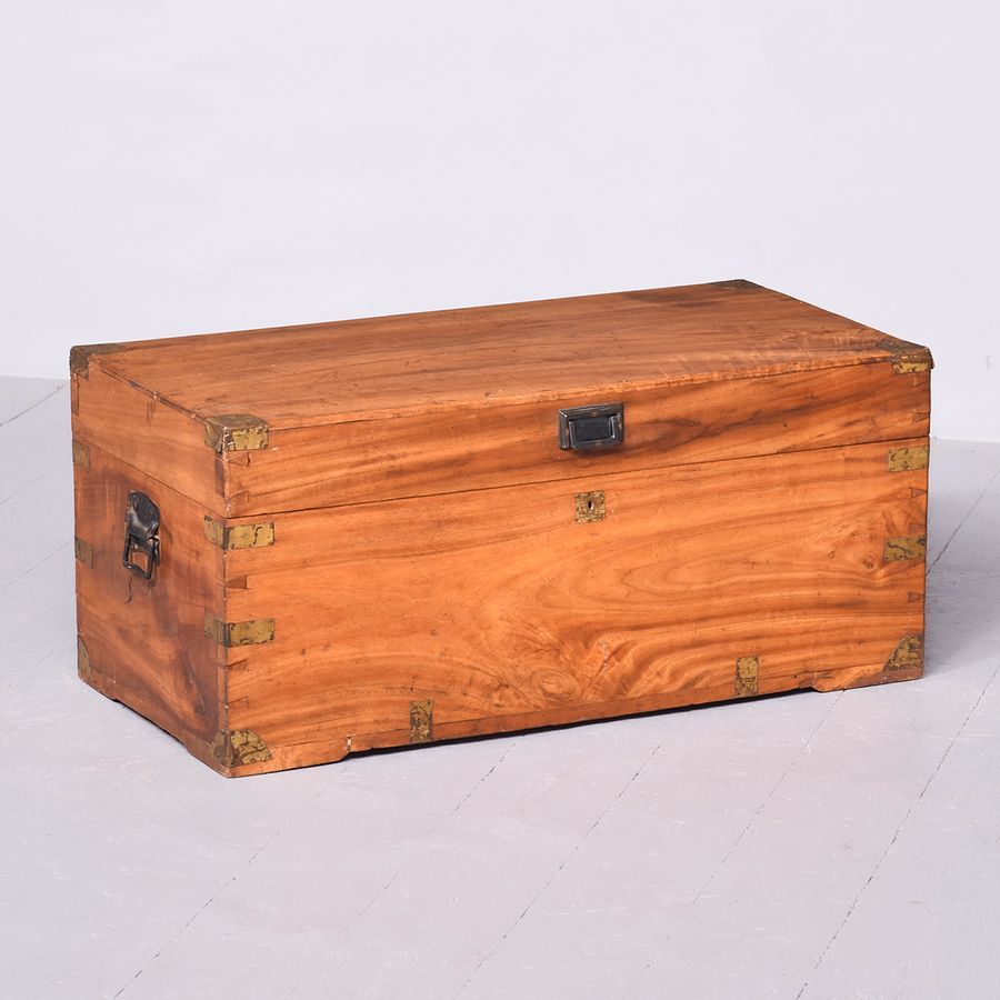 Victorian Solid Camphor Wood Military Officer’s Brass-Bound Campaign Trunk