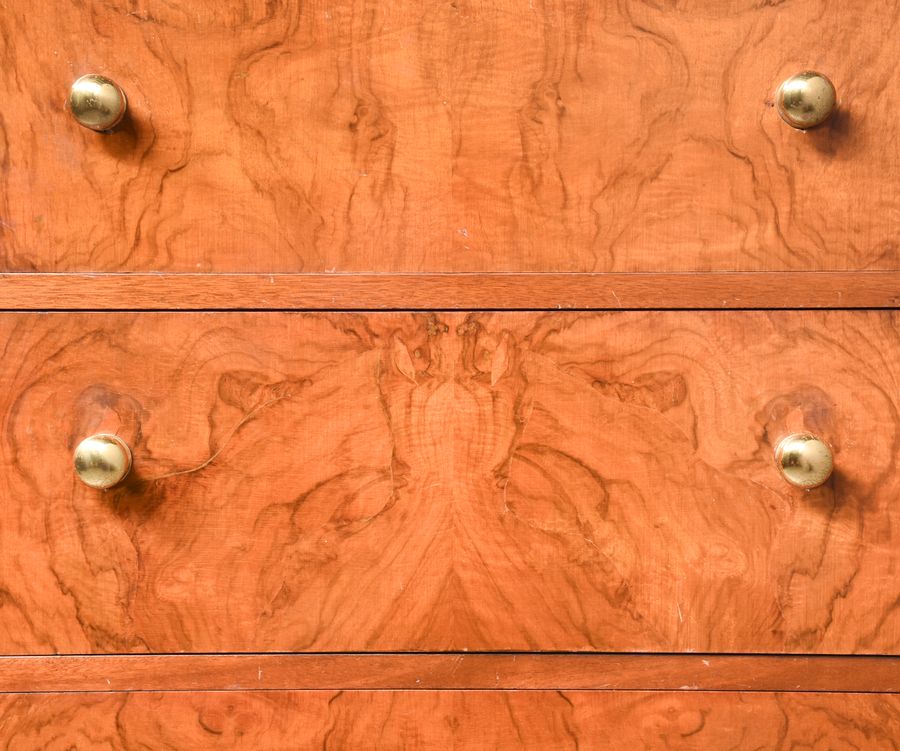 Antique Scottish Burr Walnut Chest of Drawers