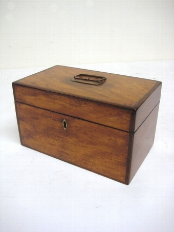 George III Satinwood Tea Caddy