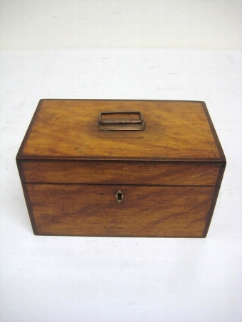 Antique George III Satinwood Tea Caddy