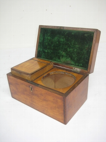 Antique George III Satinwood Tea Caddy