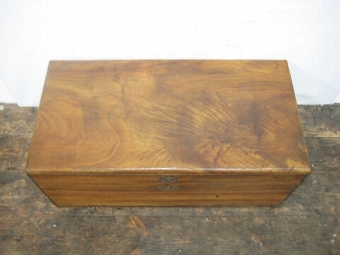 Antique Victorian Brass Bound Camphor Wood Trunk