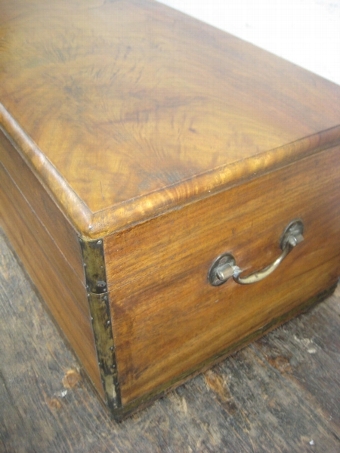 Antique Victorian Brass Bound Camphor Wood Trunk