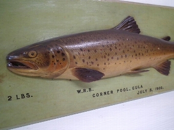 Antique Carved Half Cast of a Trout