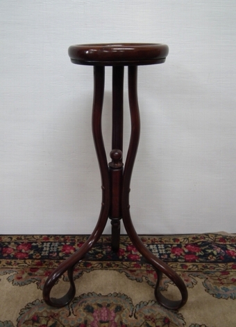 Small Bentwood Stand