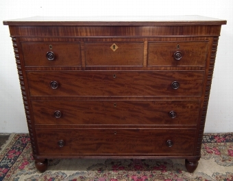 William IV Scottish Mahogany Chest of Drawers
