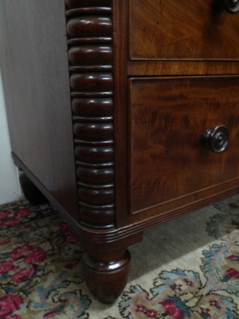 Antique William IV Scottish Mahogany Chest of Drawers
