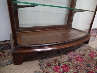 Antique Victorian Bow Fronted Showcase 
