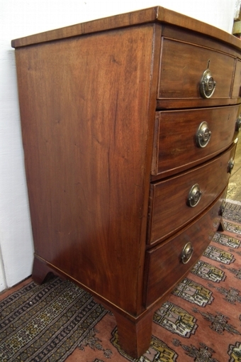 Antique Late George III Mahogany Bow Front Chest of Drawers