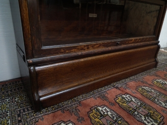Antique Globe Wernicke Sectional Bookcase