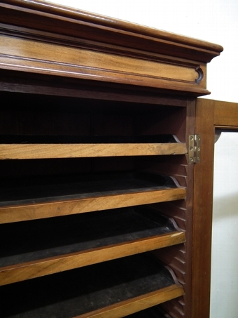 Antique Victorian Walnut Specimen Cabinet