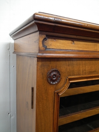 Antique Victorian Walnut Specimen Cabinet
