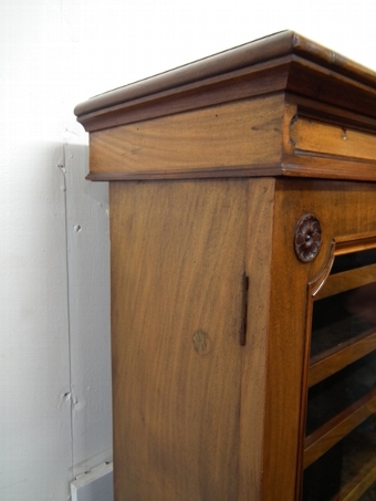Antique Victorian Walnut Specimen Cabinet