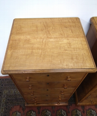 Antique :SALE: Pair of Victorian Pedestal Bedside Cabinets