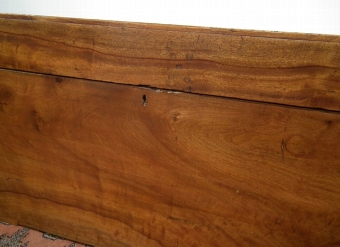 Antique Large Camphor Wood Trunk