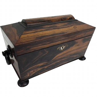 Rare William IV Calamander Tea Caddy