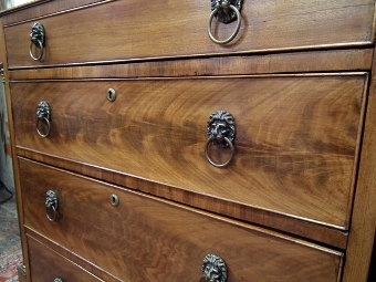 Antique :SALE: Early 19th Century Mahogany Chest of Drawers