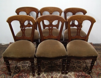 Set of 6 Late Victorian Mahogany Dining Chairs