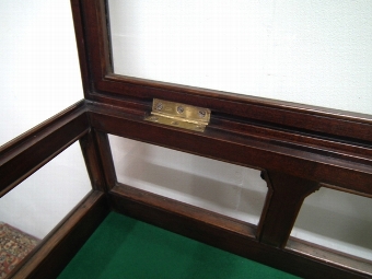 Antique Unusual Mahogany Display Case