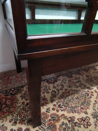 Antique Unusual Mahogany Display Case