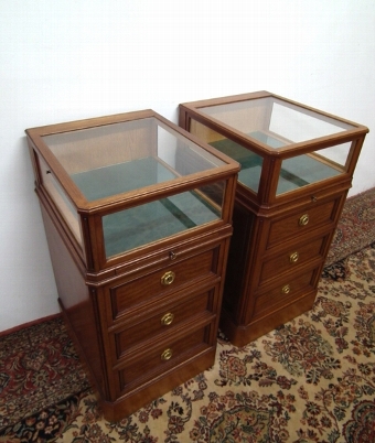 Pair of Bijouterie/Specimen Cabinets