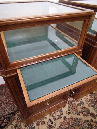 Antique Pair of Bijouterie/Specimen Cabinets