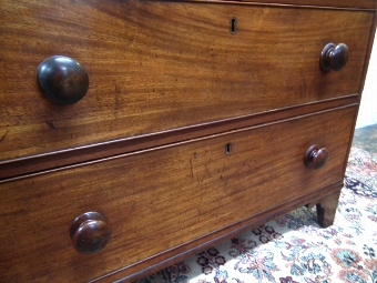 Antique George IV Mahogany Chest of Drawers