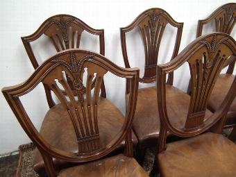 Antique Set of 6 Edwardian Hepplewhite Style Chairs