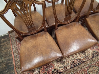 Antique Set of 6 Edwardian Hepplewhite Style Chairs