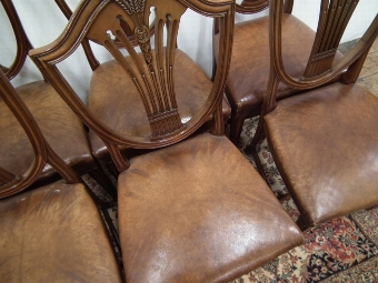 Antique Set of 6 Edwardian Hepplewhite Style Chairs