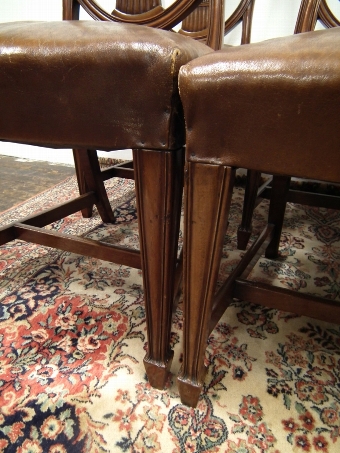 Antique Set of 6 Edwardian Hepplewhite Style Chairs